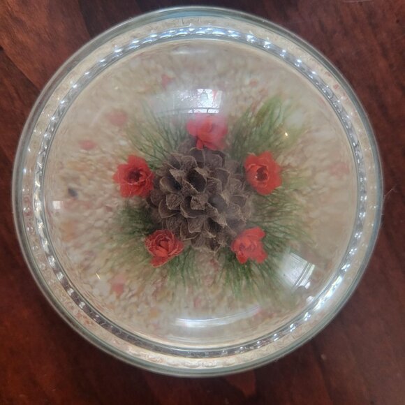 Vintage Lucite Paperweight Set With Natural Shells Flowers & Pinecone In Clear D - Picture 4 of 8